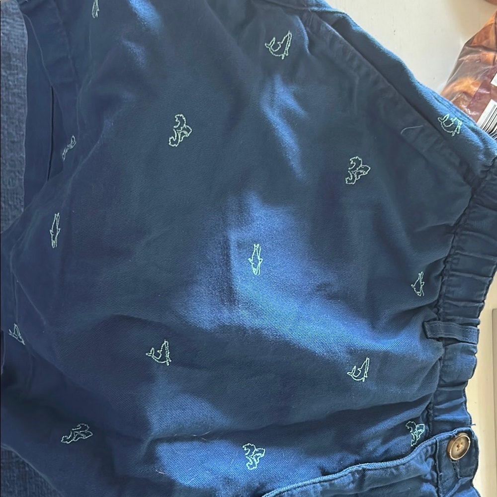 Chubbies Blue Athletic Shorts with Green Accents
